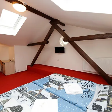 U Sv. Krystofa Guest house Prague